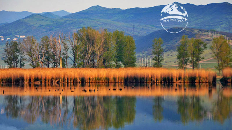 دریاچه لیسی