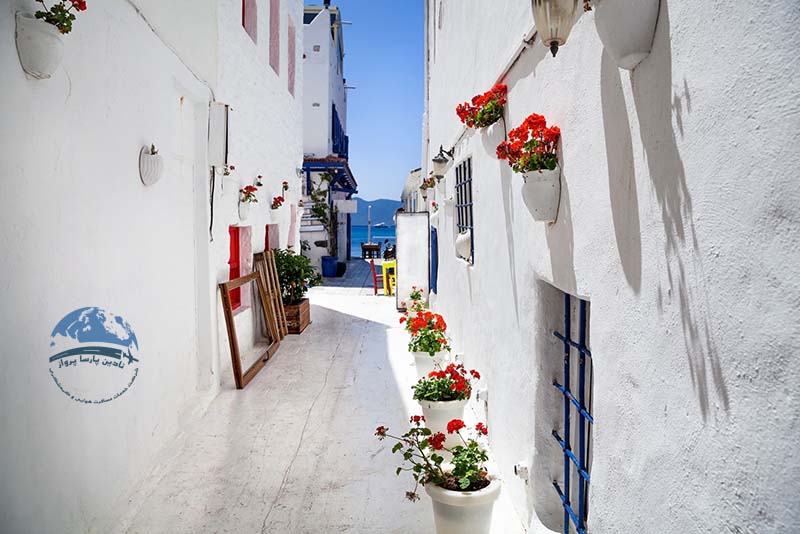 جاذبه های گردشگری بودروم