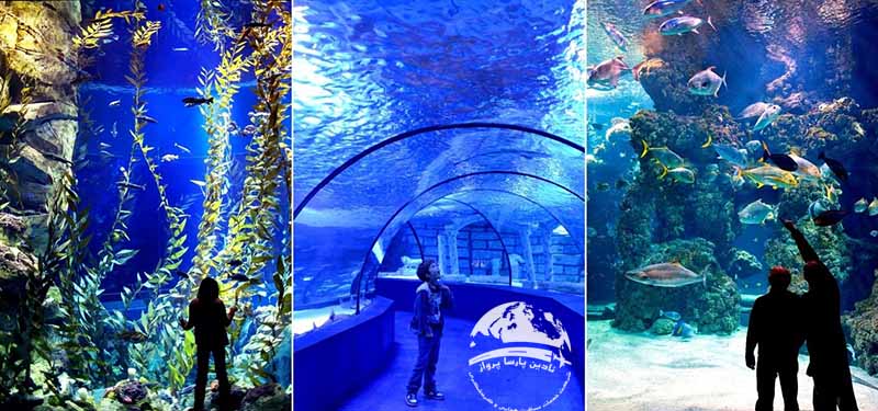 شنا با کوسه ها در آکواریوم آنتالیا