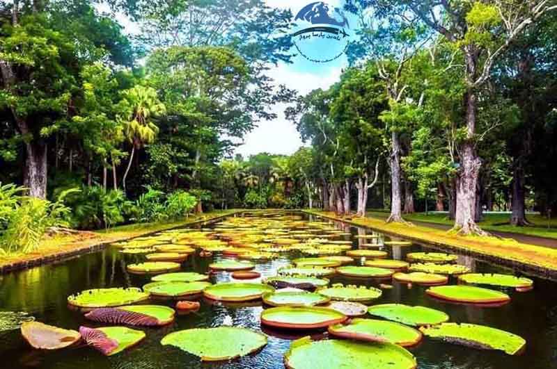 جزیره موریس در اقیانوس هند