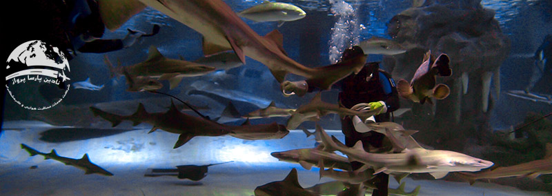 غواصی در آکواریوم آنتالیا