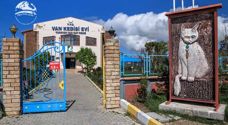 خانه گربه ها وان ترکیه