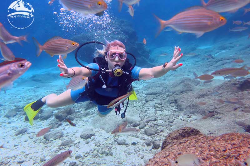 غواصی با دلفین در آنتالیا