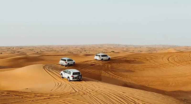 مجموعه پارس سافاری کیش