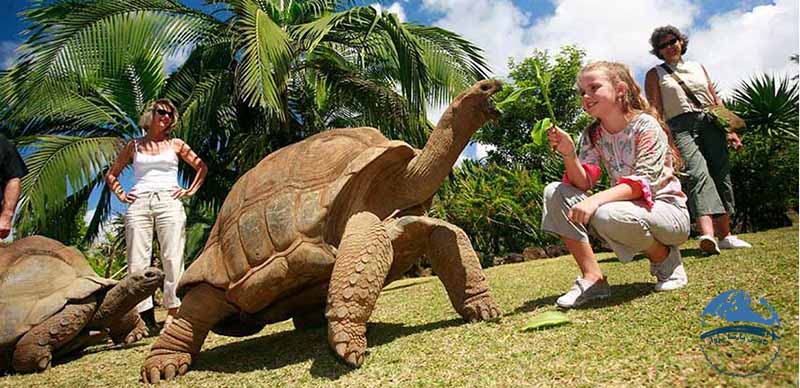 لمس حیوانات در پارک موریس