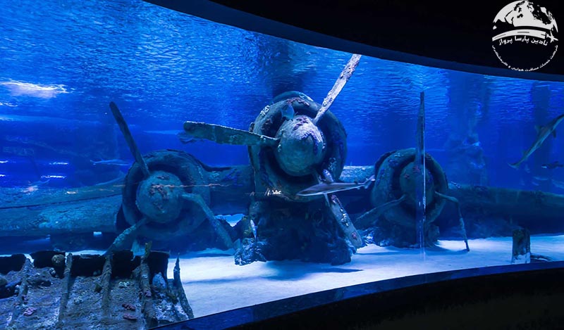 آکواریوم آنتالیا چه جاهایی دارد؟