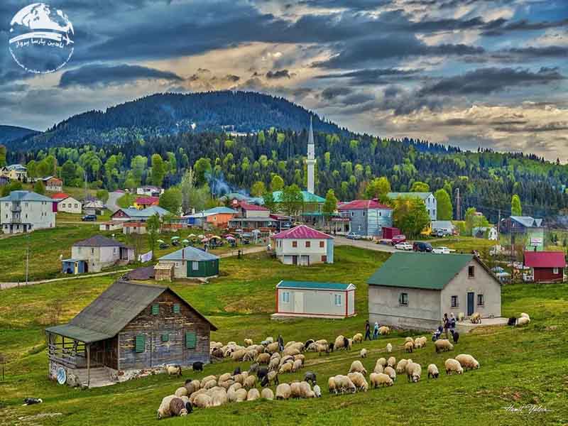 فلات حیدرنبی (Hıdırnebi Yaylası)