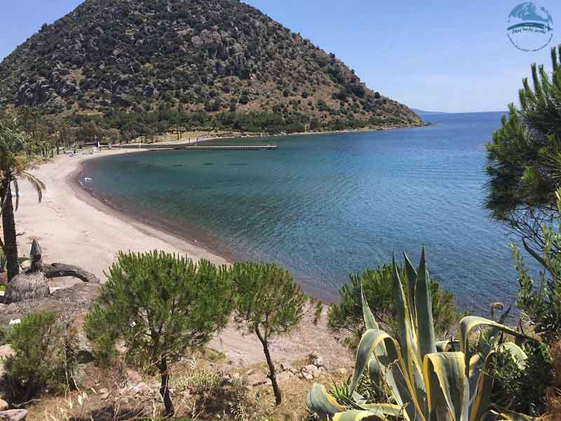 ساحل شتر بدروم