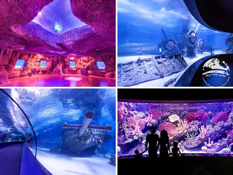 امکانات آکواریوم آنتالیا