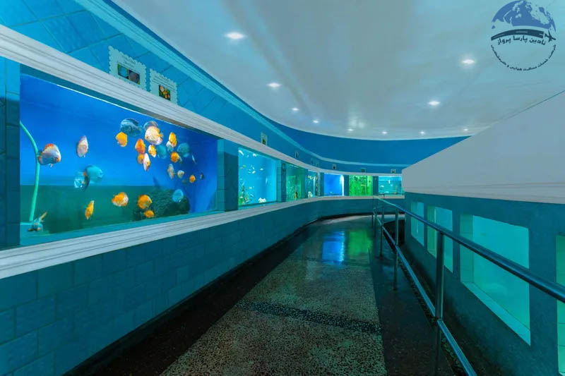 آکواریوم باتومی