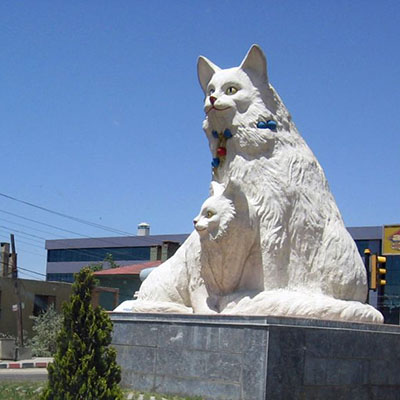 خانه گربه‌های وان، پناهگاهی ویژه برای عاشقان گربه در ترکیه